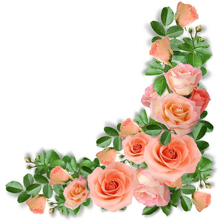 Цветы угловые