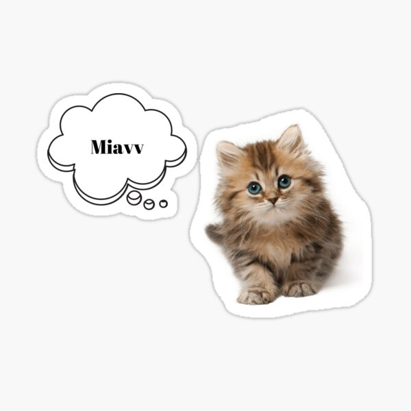Котенок без фона