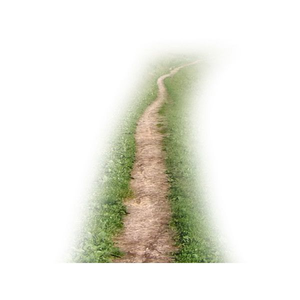 Тропинка на прозрачном фоне