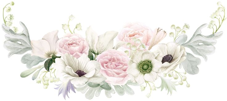 Цветочные композиции на прозрачном фоне