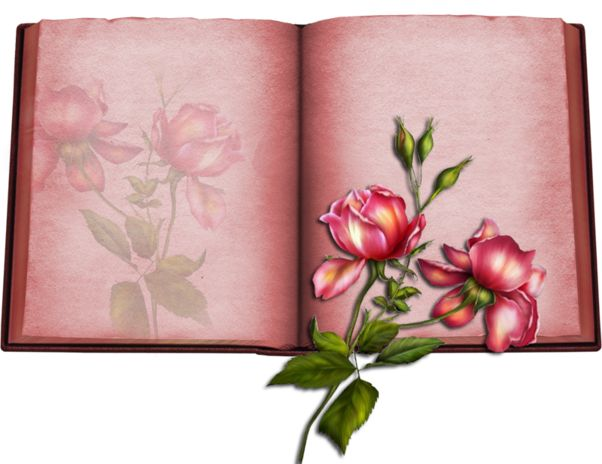 Раскрытая книга