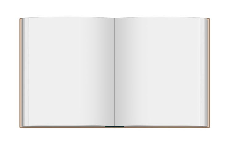 Чистая книга