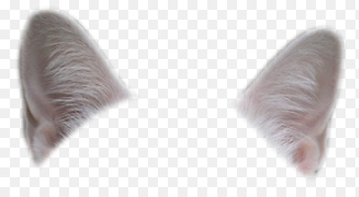 Кошачьи уши на белом фоне