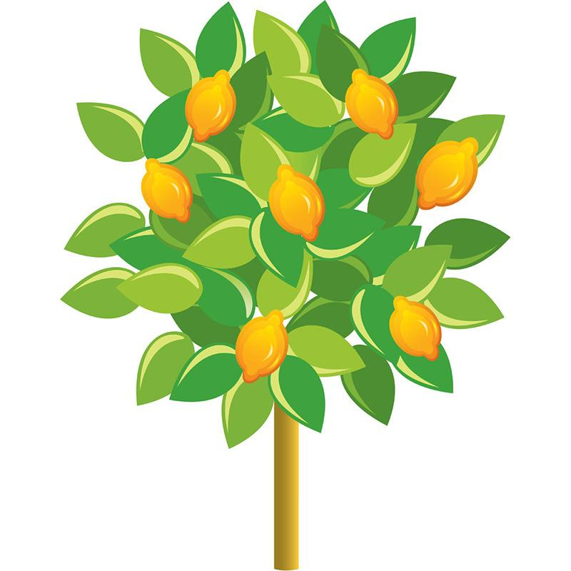 Фруктовые деревья для детей