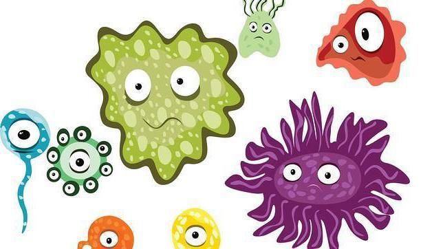 Вирусы и бактерии