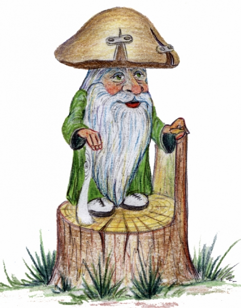 Гриб Боровик коренной Лесовик