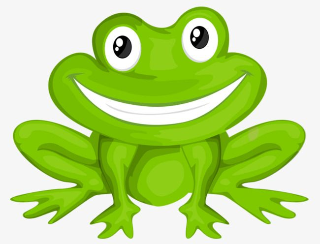 Лягушка картинка для детей