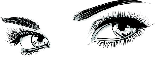 Брови на белом фоне