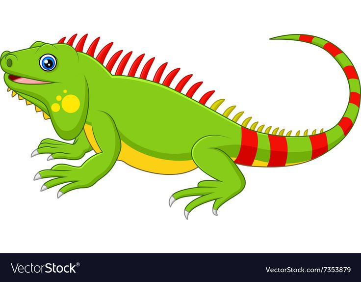 Игуана рисунок для детей