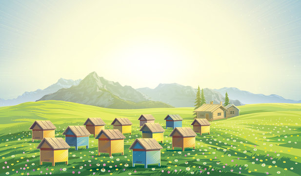 Пейзажи с ульями