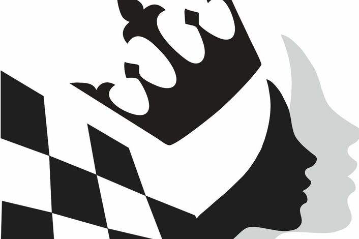 Шахматист силуэт