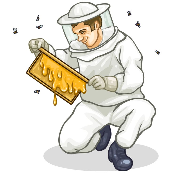 Пчеловод профессия