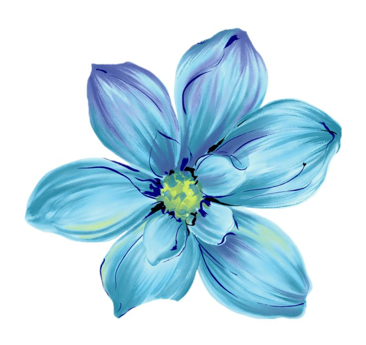 Блуе Фловер