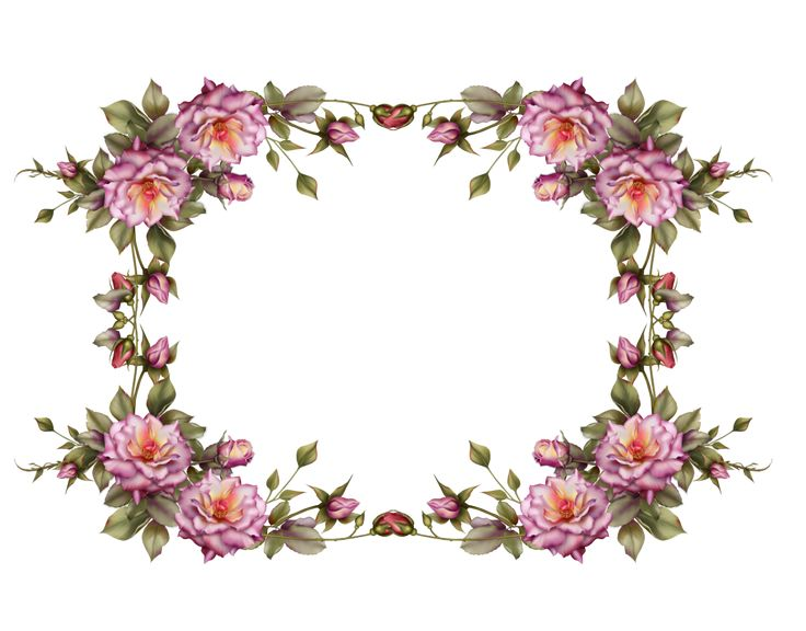 Векторные цветочные рамки