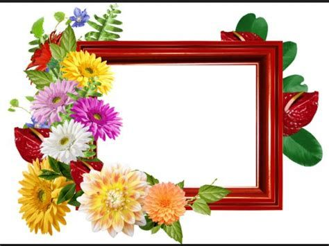 Рамка с яркими цветами