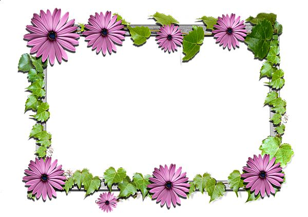 Рамка цветы на прозрачном фоне