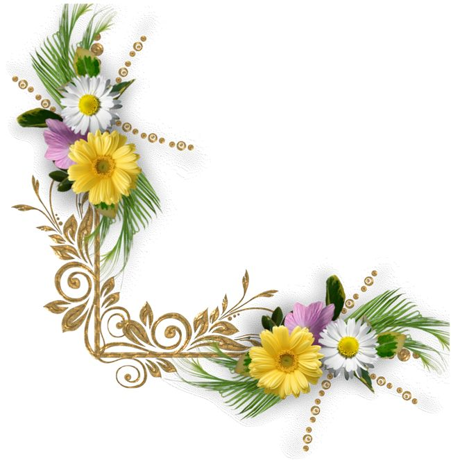 Цветочный угол на прозрачном фоне