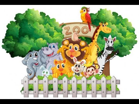 Забор в зоопарке