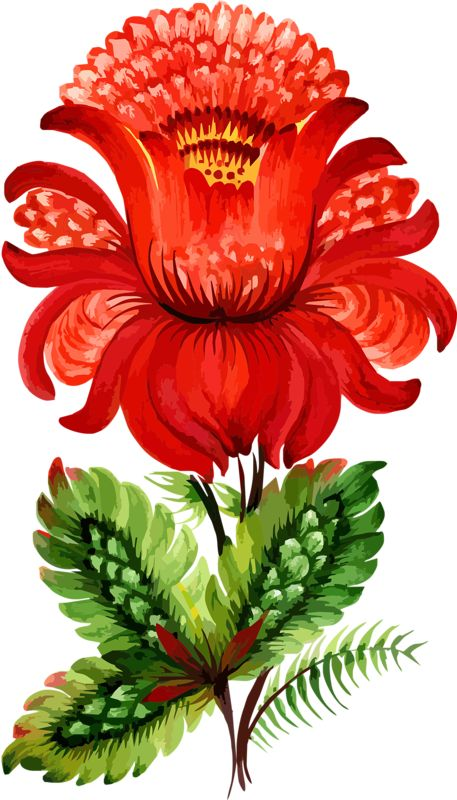 Аленький цветочек