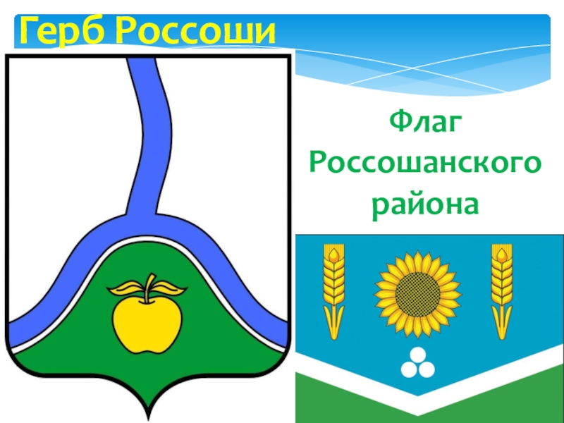 Флаг и герб Россошанского района
