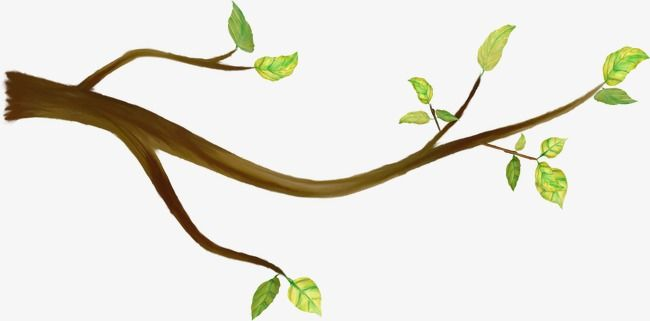 Ветка дерева мультяшная