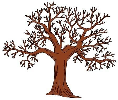 Ствол дуба без листьев