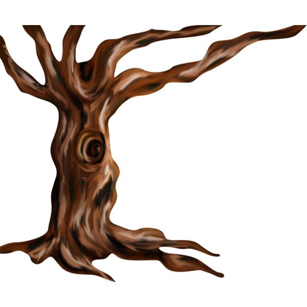 Дерево с дуплом