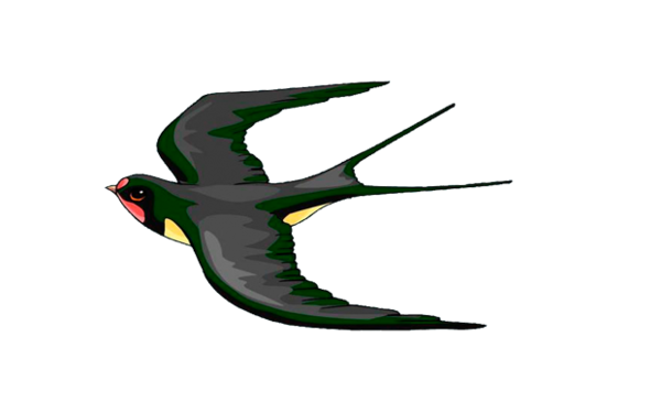 Ласточка для детей