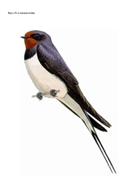 Ласточка для детей на прозрачном фоне