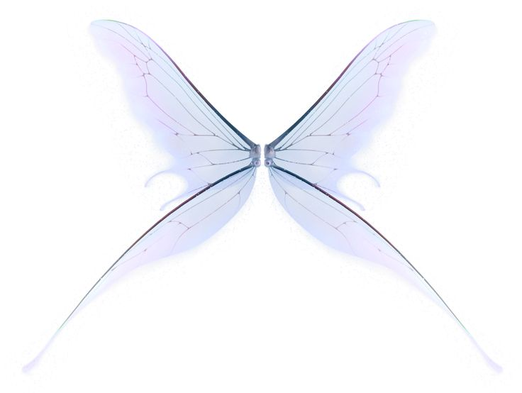 Крылья феи прозрачные