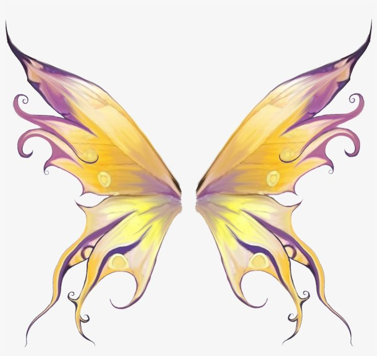 Крылья бабочки