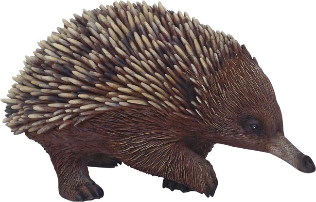 Ехидна для детей