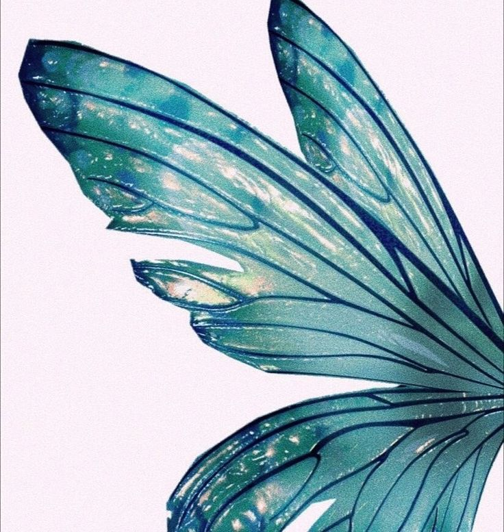 Крылья бабочки