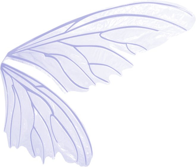 Крылья мотылька сбоку