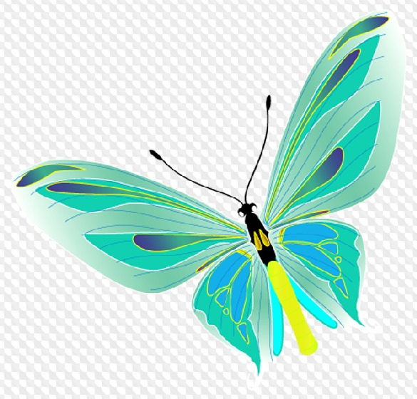 Бирюзовые бабочки на прозрачном фоне
