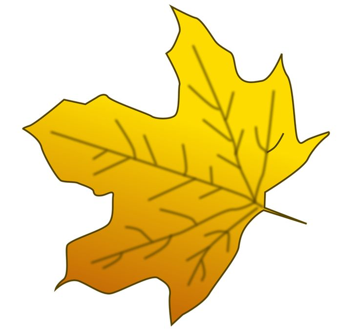 Листья рисунок