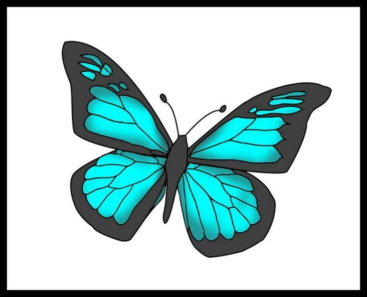 Клипарт бабочки на прозрачном фоне