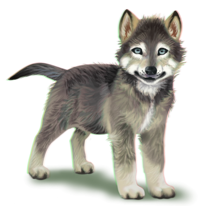 Волчонок на прозрачном фоне