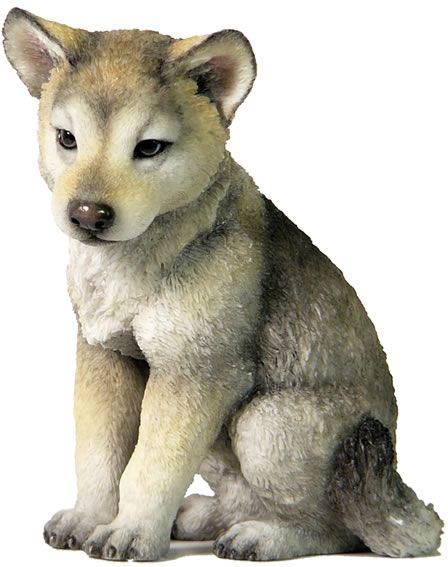 Шляйх волчата