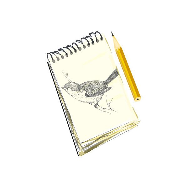 Скетчбук картинка на прозрачном фоне