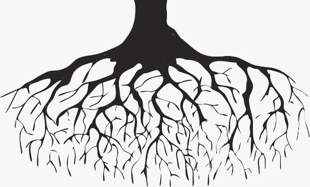 Дерево с корнями для детей