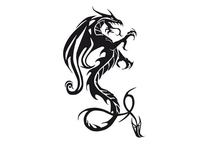 Тату дракона на белом фоне