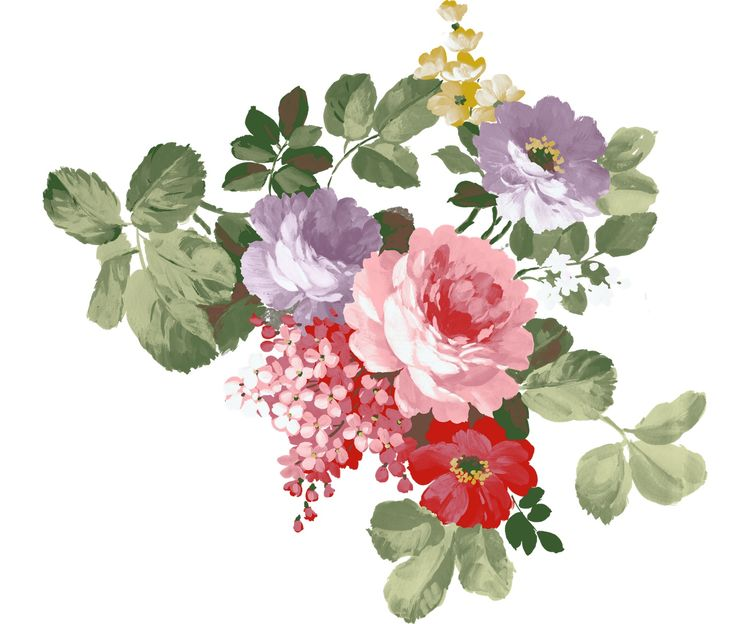 Цветы иллюстрация