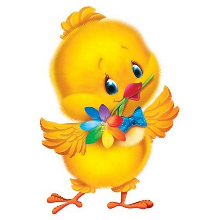 Цыплята для детского сада