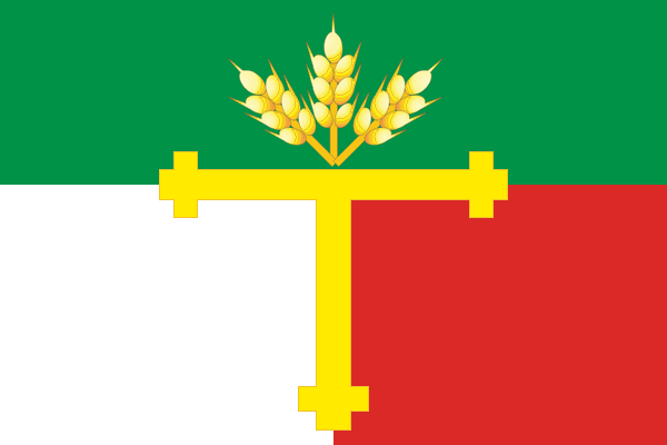 Флаг татарского района