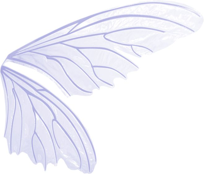 Крылья феи прозрачные