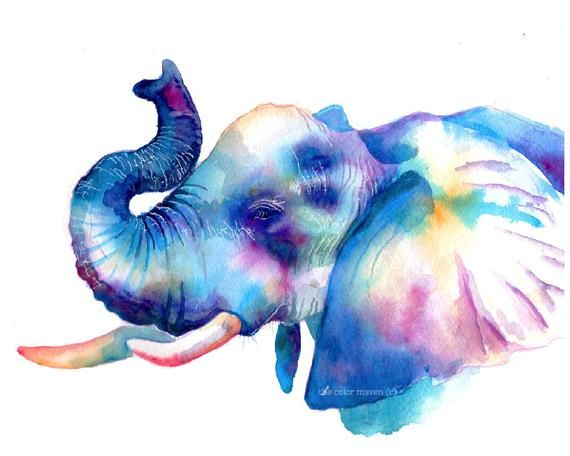 Животные акварелью