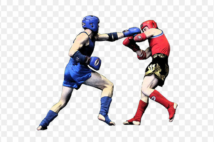 Ушу саньда спорт