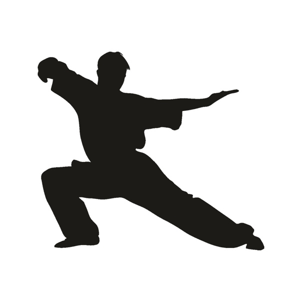 Каратист силуэт