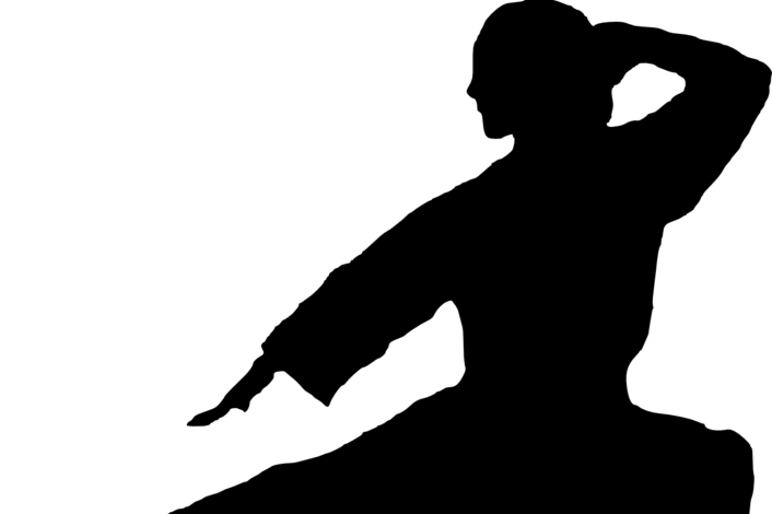 Каратэ силуэт